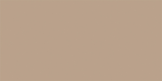 Rako Color One WAAMB311 Wandtegel 198X398 Dark beige 7mm Mat 